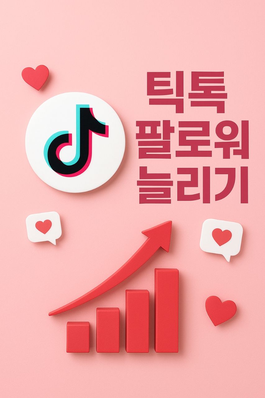 틱톡 팔로워 늘리기 (1,000명단위)